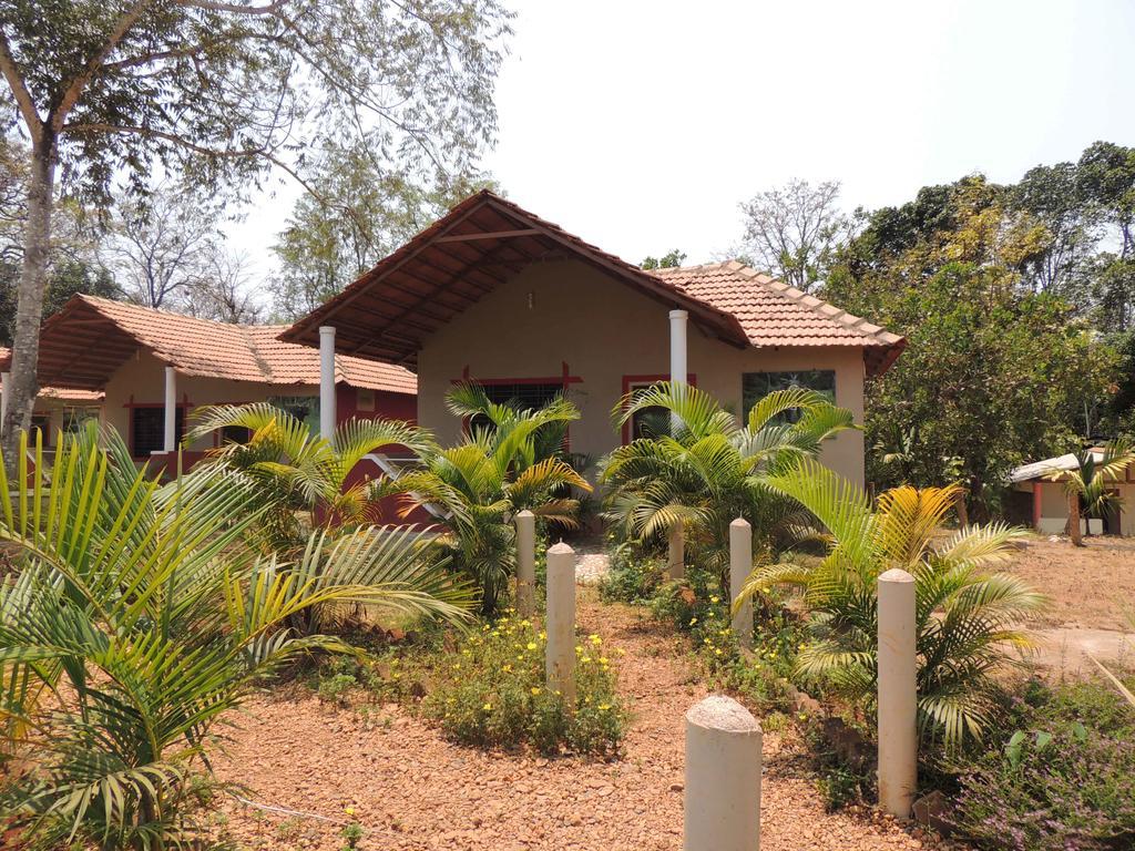 Dandeli - Jungle Nest Apartment Sangave Exterior photo